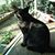 Marilyn Riley's profile image