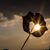 Jess E. White's profile image