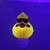 Jennifer Knox's profile image