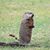 Bonnie Bowen's profile image