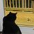 Darlene Fenstermaker's profile image