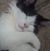 Lisa Kidd's profile image