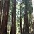 Mary Shepardson's profile image