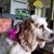 Bonnie Sokolow's profile image