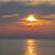 Donna Williams's profile image