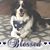 Theresa Collins-Keck's profile image