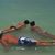 Paul A. Keily's profile image