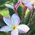 Robin Baca-Gillenwaters's profile image