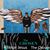 Deby Shahan Allen's profile image