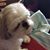 Dianna Kincaid's profile image