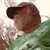 Reid Meadows's profile image