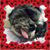 Cassandra Pollard's profile image