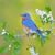Shelley Lyons's profile image