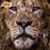 Hooell Monleon's profile image