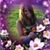 Jessica Scott's profile image