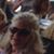 Mary Mettlach Masters's profile image