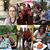 Theresa Tighe's profile image
