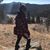 Romesha La'Shea Richardson's profile image