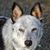 Karen Briskey's profile image
