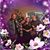Anese Forsyth's profile image