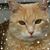Mary Huff's profile image