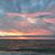 Sharon Baldis's profile image