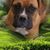 Jeff Bohm's profile image