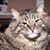 Kathleen Barrie's profile image