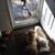 David Guffey's profile image