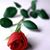 Suz Mor's profile image