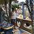 Flavia Scott's profile image
