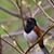 Verna Tjemsland's profile image