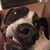 Paul Holtrop's profile image