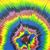Brian Schumacher's profile image