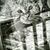 Kristie Lankford Clark's profile image