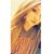 Tori Selph's profile image