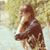 Lana Ajloune's profile image