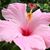 Nancy Jones's profile image