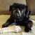 Candy Harker's profile image