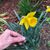 Loretta L Allen Moschetti's profile image
