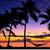 Peg Ward Petrulli's profile image