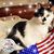 Gail Thompson's profile image