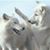 Mark Osbourne Herbert's profile image
