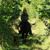 Ute Krabbe's profile image