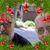 Ruth Chartier's profile image