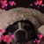 Karen Green Thiry's profile image