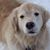 Becca Patenaude Baron's profile image