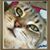 Jane Pawlik's profile image