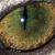 Rachel Byrne's profile image