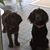 Diane Stenson Bundy's profile image
